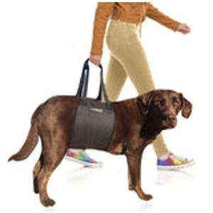 Labra Adjustable Black Canine Support Sling Size Large (40-70) lbs.